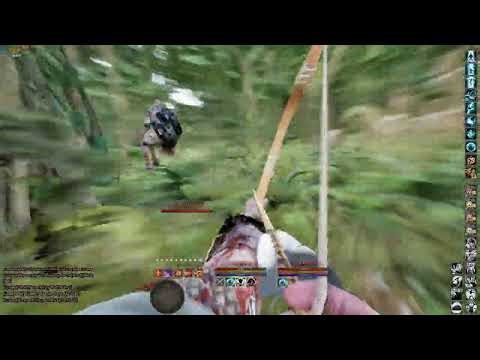 Mortal Online 2 - WarGogs