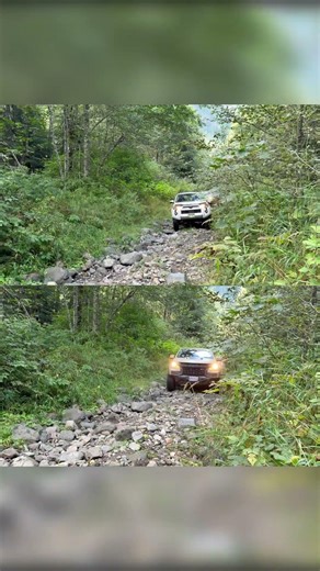 Rocky Trail Round 2: 4Runner TRD Off Road vs ZR2 Colorado