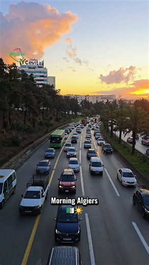 DZ 🇩🇿 VIDÉOS 📷 on Instagram: "🇩🇿☀️ . . #algeria #algerie #alger #artist #art #algiers #algeriatravel #discoveralgeria #algeria_yakho #tourismalgeria #visitalgeria #algeriaculture #dz #dzpower #dzair #algeriaphotography #fyp #corners_of_algeria #corners_of_algiers #trendingvideo #trendingsong #tik_tok"