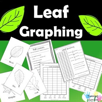 Leaf Bar Graph | Leaf Types Sort | Graphing {leaves, fall, spring science}