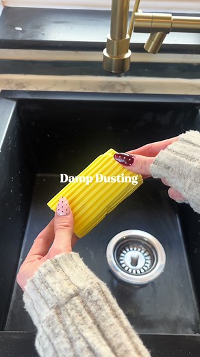 Damp Dusting Tips with Scrub Daddy