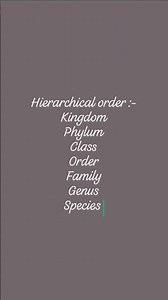 Hierarchical order of classification# Animal Kingdom
