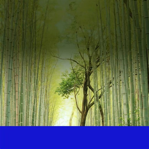 Become a UnitedSM Explorer Cardmember and earn 60,000 bonus miles for your next journey. As you take in one beautiful place after another, enjoy travel rewards, including a free checked bag (terms apply) and 2x miles on dining and at hotels. Turn miles into trips and find yourself traveling to unforgettable destinations. Apply today at TheExplorerCard.com/JoinUs. | HuffPost