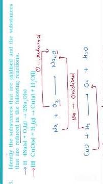 Intext qus 8 | Identify the substances that are oxidised and that are reduced | chapter 1 | Miss SV