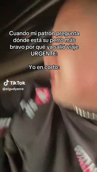 A la orden del patrón: Perro bravo en acción