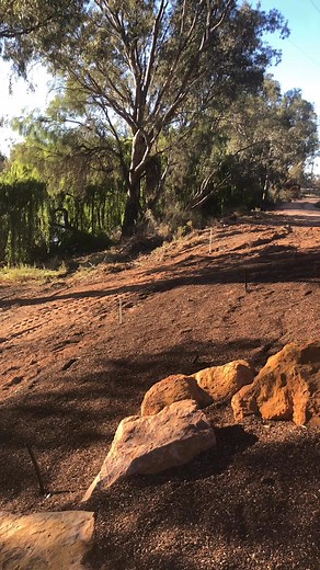 1.2K views · 43 reactions | Just about ready to plant this rockery out with a nice native plant mix☘️ | Tara Landscaping | Facebook
