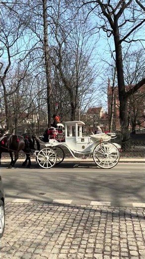 A Cinderella Moment at 12 — Still a Carriage | Krakow 🇵🇱