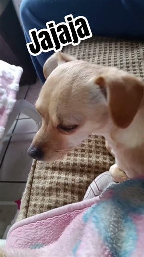 buscando a si mamá #susett #amor #sussa #viral #food #food