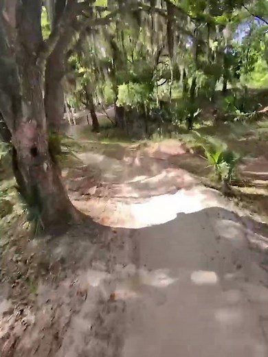 Alafia River State Park 3 | Lithia, FL | 2026-04-04
