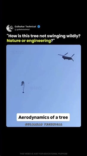 This Tree Defies Physics While Flying! 🌲🚁