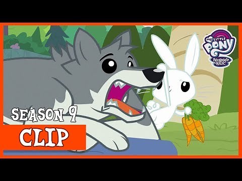 Fluttershy's Predator/Prey Support Group (She Talks to Angel) | MLP: FiM [HD]