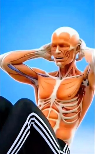 Roz crunch maar raha hai, phir bhi pet bahar latka hua hai?Toh bhai sach sun le ? check pin comment