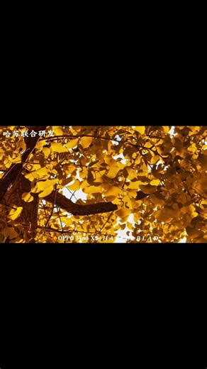 oppo find x 9 camera taste #oppo