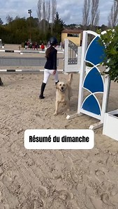 Chien de cavalière 😅 . . . #dog #instadog #doglover #dogsofinstagram #dogvlog #vlog #funnydog #horseriding #showjumping #cutedog #goldenretriever #goldenretrieversofinstagram #dogfrance #goldenretrieverworld #retrievergram #chien #chiendrole #chienmarrant #chienmignon #chieninstagram #toutou #bandabalou | Bandabalou