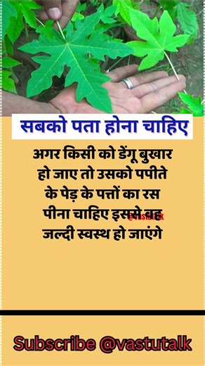 #motivation #jayakishoribhajan #shortsfeed #quotes