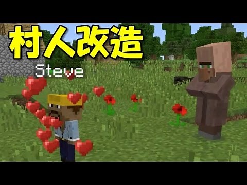 【マインクラフトPE MOD】村人改造MOD(v0.14.1)