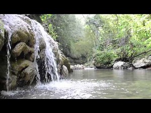 Tanamá River Adventures, Utuado P.R.,