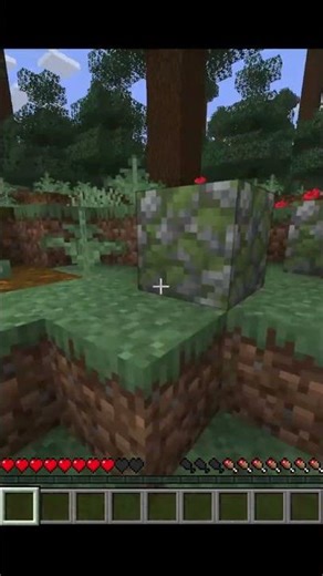 Minecraft but for every sub I go to a random place #shorts #minecraft