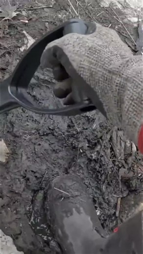 The Fisher on Instagram: "Crawfish trap find! A franking and crawfish were living in there. Found a bunch of minnows too! Unexpected catch! #CrawfishTrap #FishingLife #OutdoorAdventure #CreekFinds #NatureIsCool #ReelsOfInstagram #MagnetFishing"