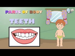 parts of body name - Kindergarten,Preschool & Junior Kids