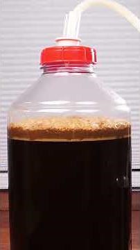 Fermentation Time-lapse