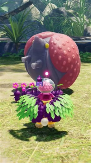 （難易度おだやか）紫ピクミン投げまくってハリアラシ撃破【ピクミン4 PIKMIN4】 #pikmin4 #pikmin #ピクミン