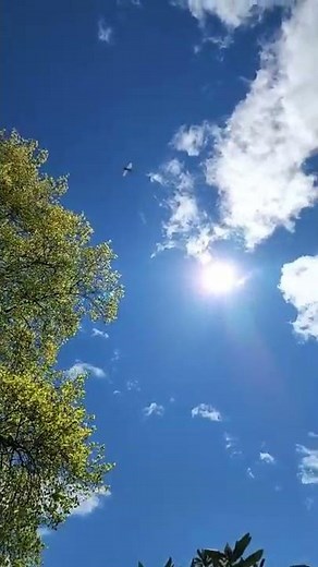 Beautiful Sun Blue Sky Clouds | my original video #shorts #clouds #nature #relaxing #bluesky