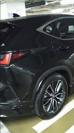 嬉しい納車レクサス新型NXバージョンLモデリスタエアロ