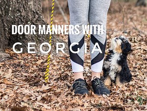 Georgia is a mini Bernedoodle who is in our extended puppy prodigy program and during today's training session we focused on respecting door frames - teaching her to sit/stay until welcomed to cross the threshold and then ran through her other obedience behaviors inside (heeling, sit, down, place). www.keendogtraining.com | KeenDog | Facebook