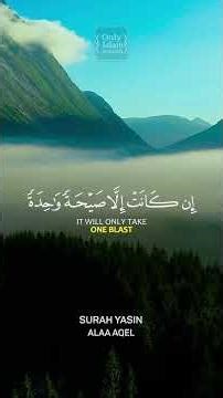 Surah Yasin Ayat 51 - 57 #yasin #alaaaqel #quranrecitation