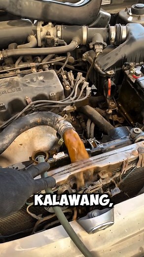 Radiator flushing 🧑‍🔧 #fblifestyle | Berson Vlogs