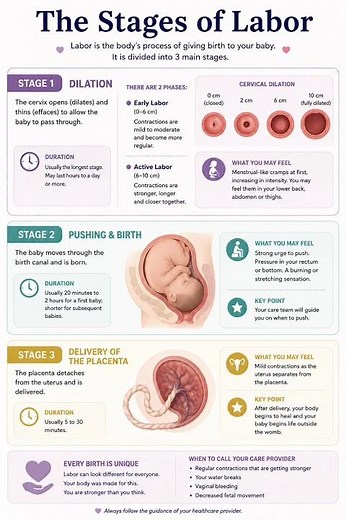 Understand the stages of labor 🤰✨ #pregnancytips #saviepregnancy