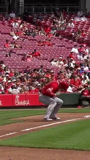 Mike Trout Hit By Foul Ball