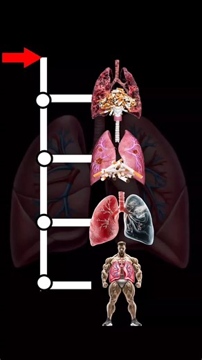 Measuring Lung Capacity After Smoking Cigarettes