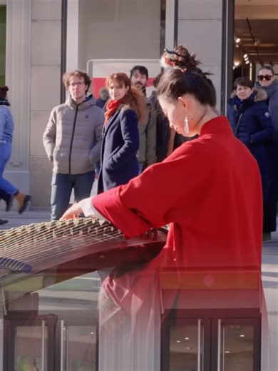 #guzheng #zither #koto