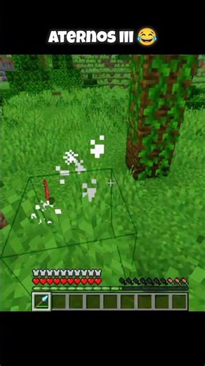 Pov: You have the best enchantment #minecraft #shorts