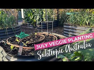 July Planting - Subtropical Australia Vegetable Garden