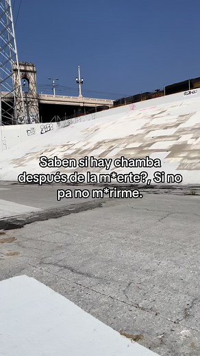 Discover the Best Tostones Recipe for Your Gathering