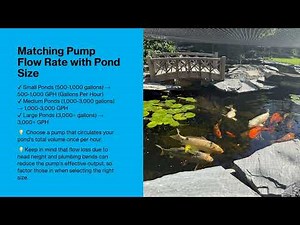 How to Choose the Right Pond Pump? | Best Pump for Koi Ponds, Waterfalls & Filtration