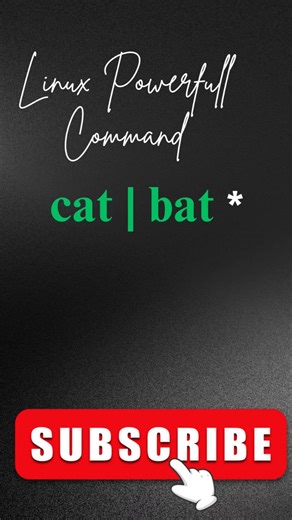 Linux Best Command for Daily use | Linux Cat vs Bat & * | linux server | linux terminal |unix #linux