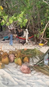 7.9K views · 41 reactions | Back 2 Basics Adventures on Reels | Facebook