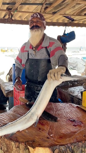 AMAZING 🤯 FASTEST Needle Fish Cutting Skills | 24 Seconds of Master Knife ASMR #shorts #fishcutting