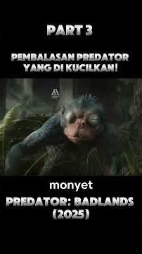 PART 3 ‼️Diusir Klannya, Predator Ini Cari Kehormatan dengan balas dendam#alurceritafilm