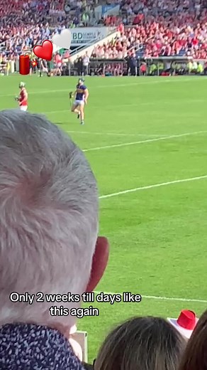 #hurling #cork #fyp #likeup #honcork🔴⚪️ #corkforliam25 #hoggie #patrickhorgan