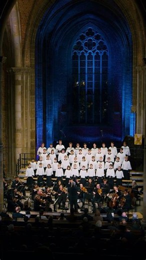 This sounds like pure majesty ❤️🎵 #mozart #requiem #classicalmusic