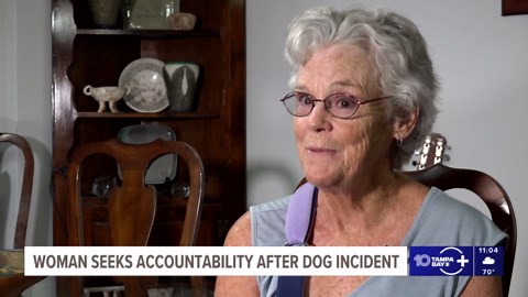 Injured in a dog encounter, a Tarpon Springs woman urges leash rules enforcement at state parks