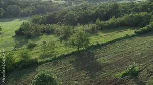 Meadow after sunrise with agricultural land and trees 4K drone video