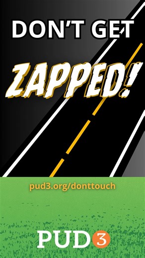 Don't Touch. Don't Approach. Don't Drive. Don't get zapped! You don't even have to touch a downed power line to get electrocuted - always stay at least 100 feet away. Call us or 911 to report a downed line. | Mason PUD 3
