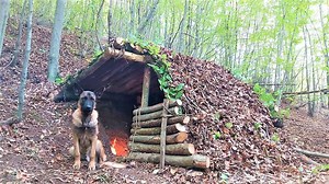 422K views · 15K reactions | I build a primitive bushcraft shelter using hand tools only. | Wargeh Bushcraft | Facebook