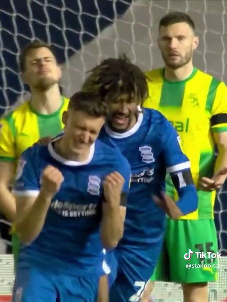 Farewell to Skipper: A Birmingham City Tribute